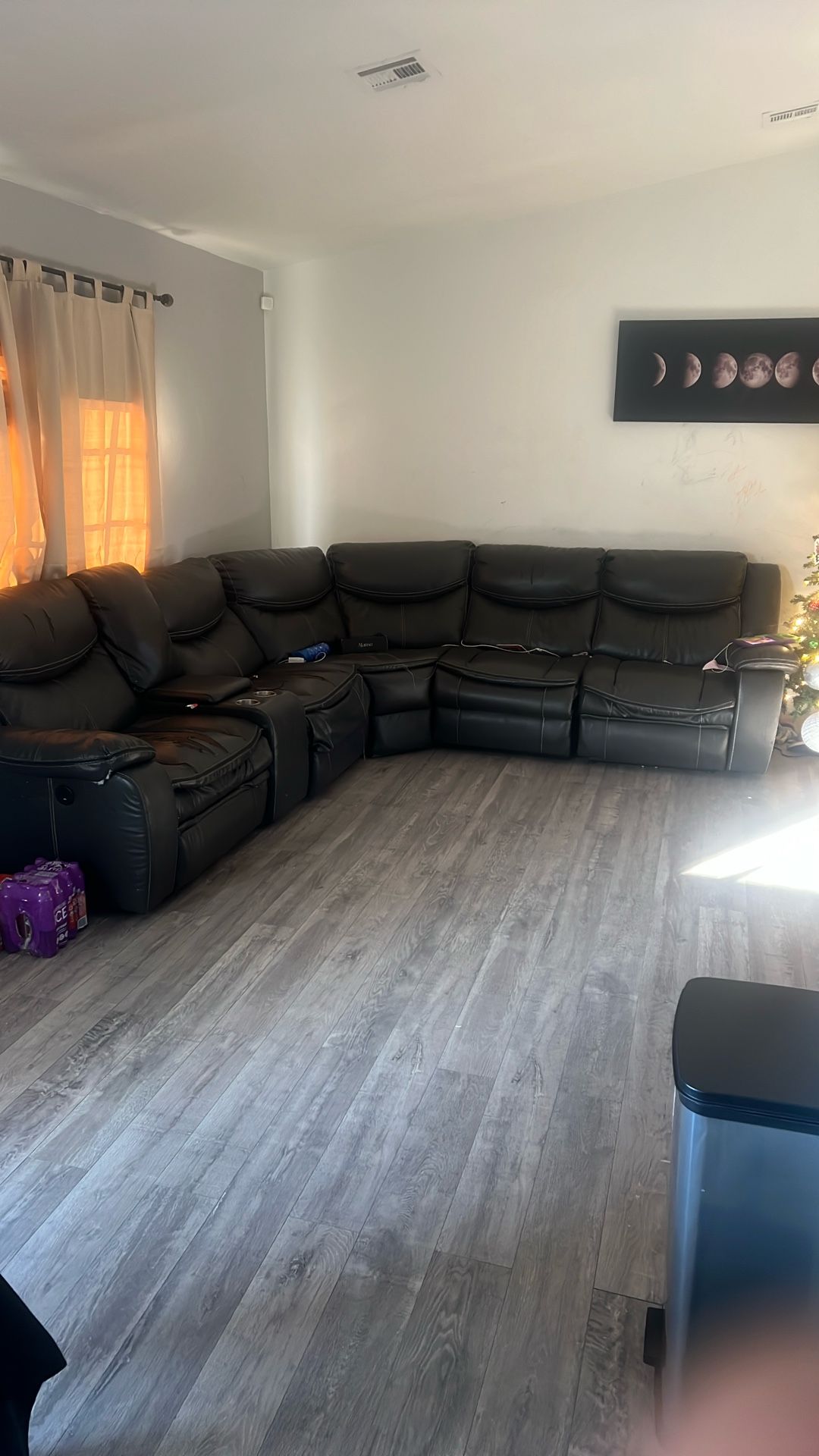 Free Sectional
