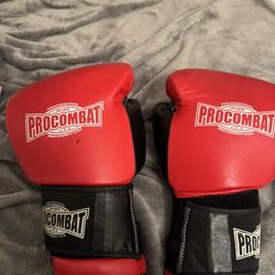 16 Oz Boxing Gloves 