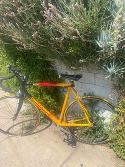 Cannondale