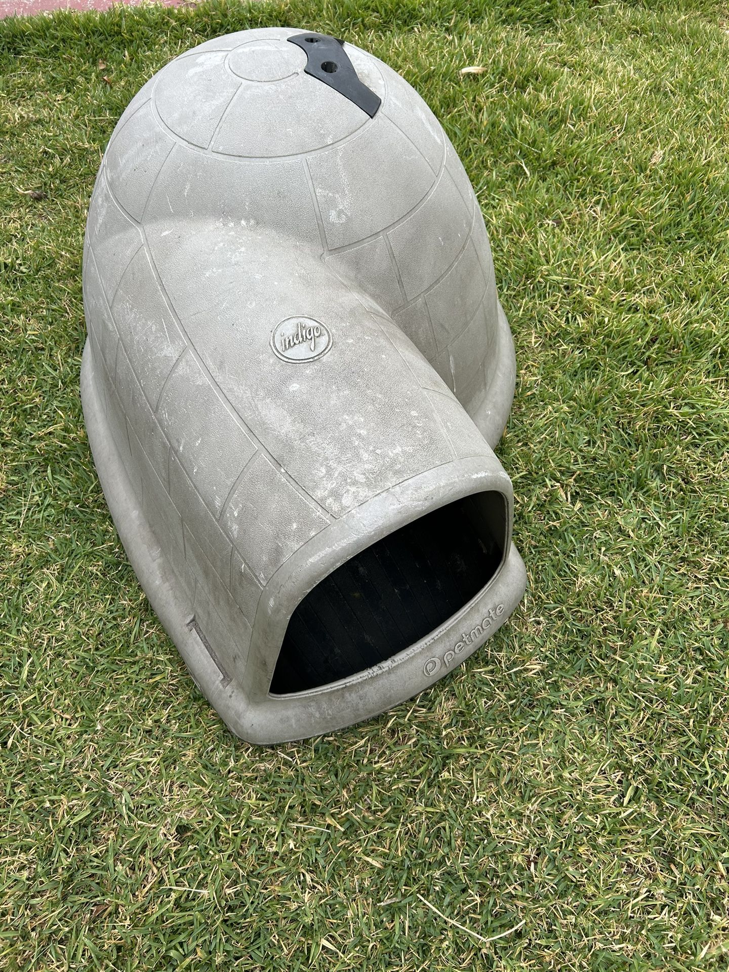 Dog House