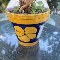 Small Painted Pot