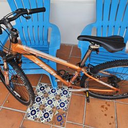 Trek Mountain Bike 26in