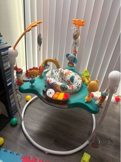 Fisher price activity center