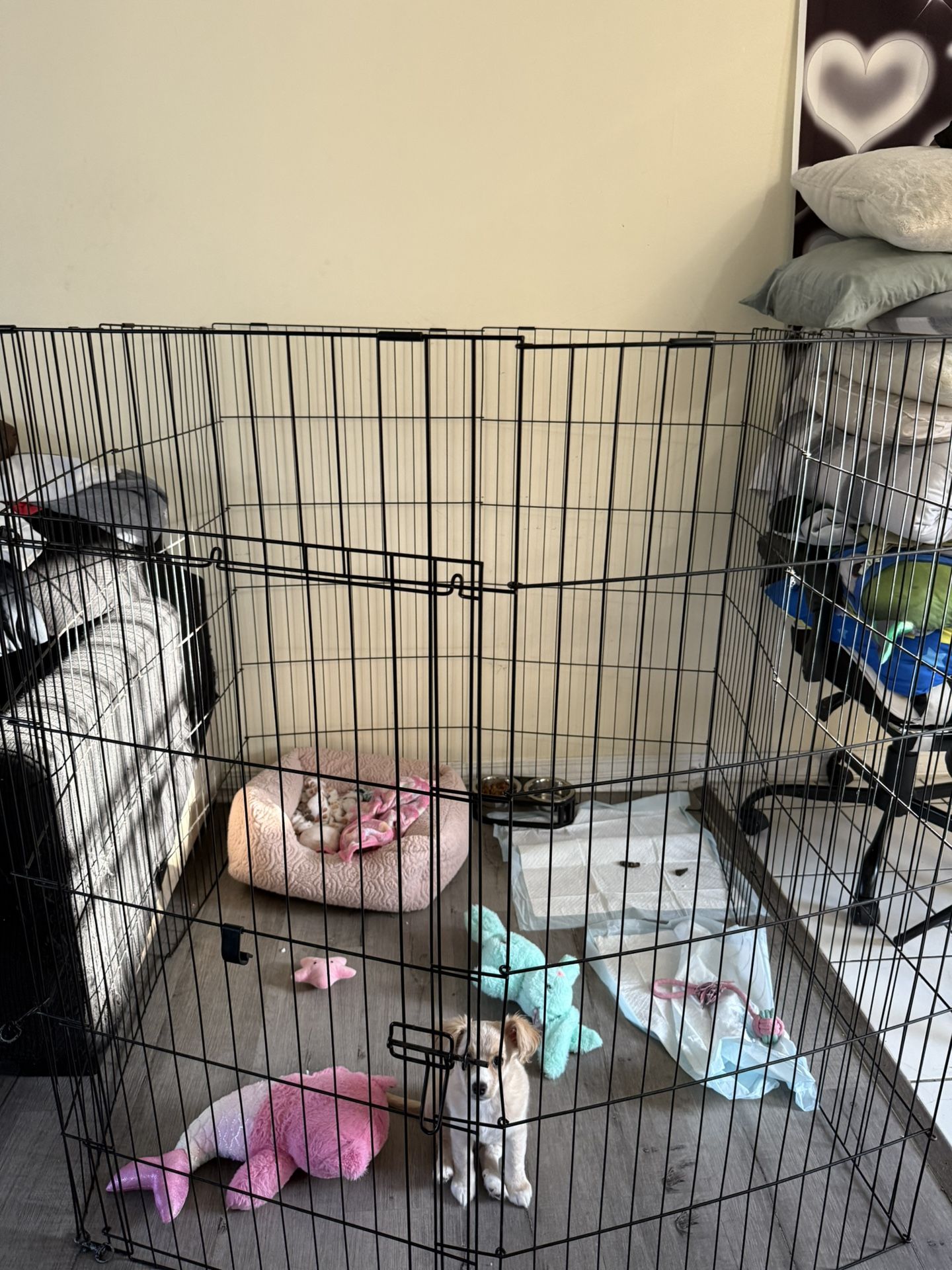 dog gate