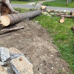 Firewood 