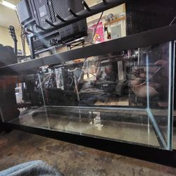 55 Gallon Fish Tank