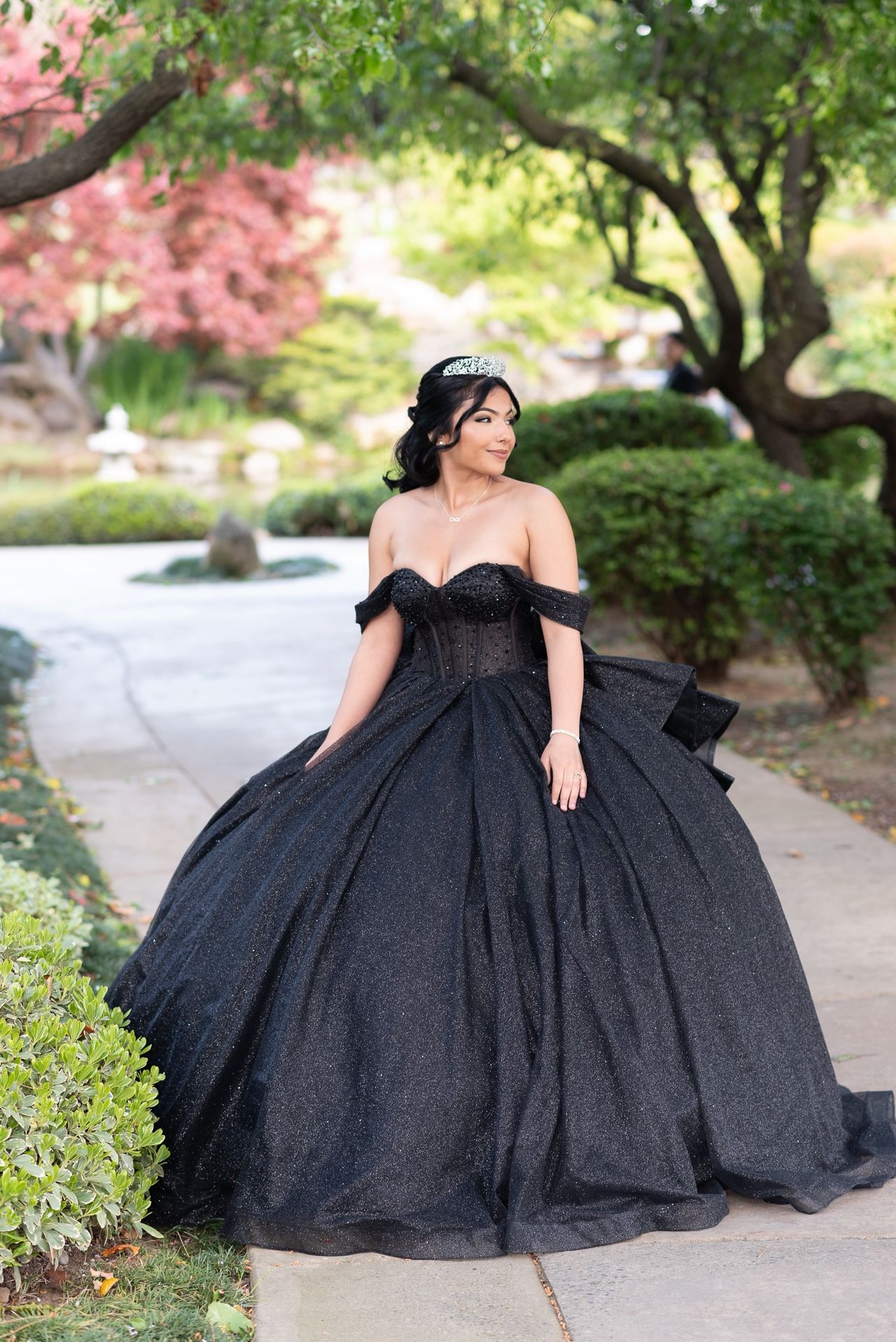 QuinceaƱera/Sweet 16 Dress