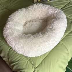 Brand New Cat Bed Never Used. 