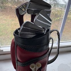 Vintage Golf Bag Bar Set 