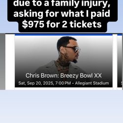 Chris brown Concert 
