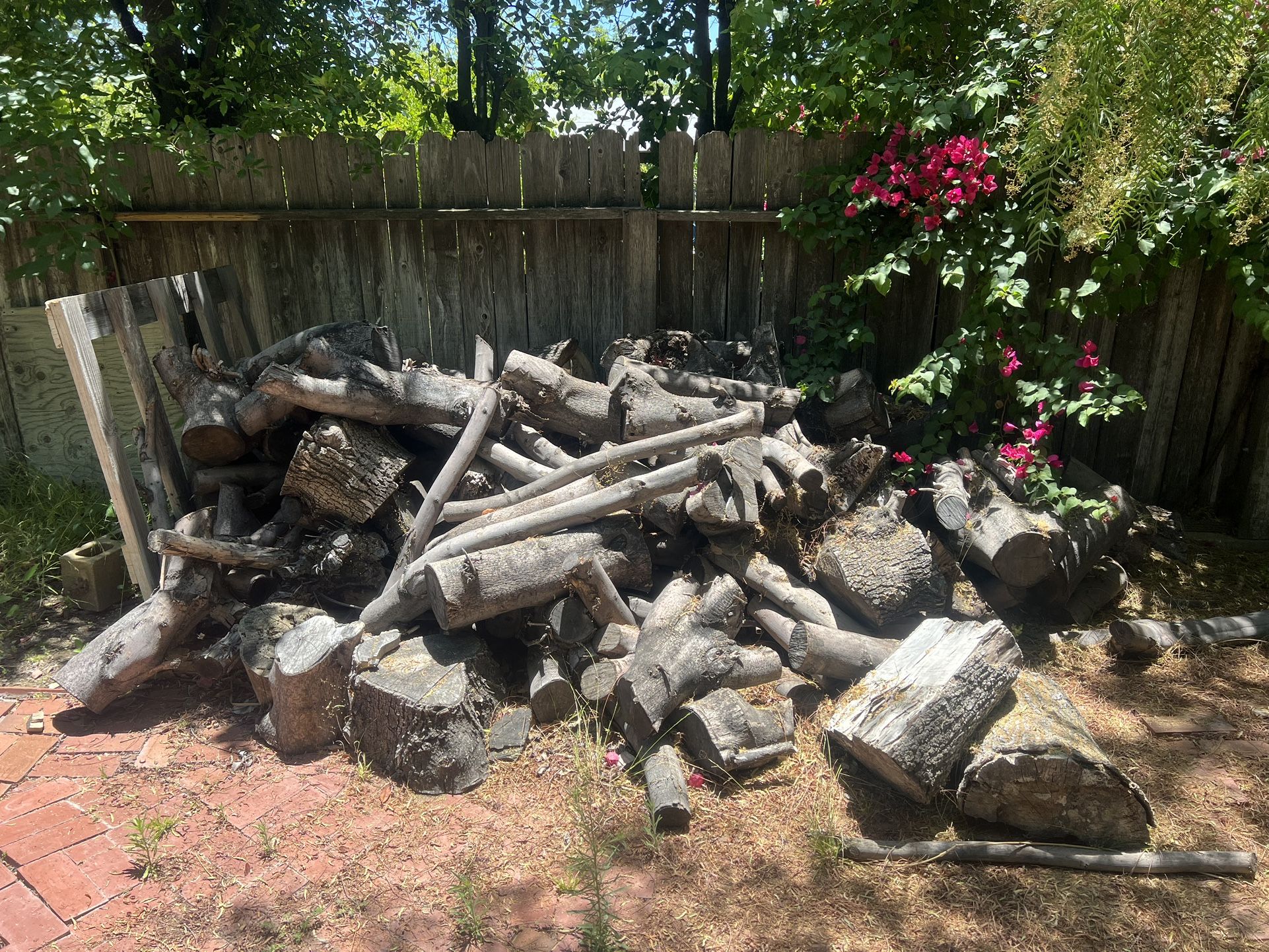 Firewood