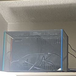 5 Gallon Fish Tank