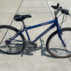 Raleigh m20 mountain bike for sale hotsell