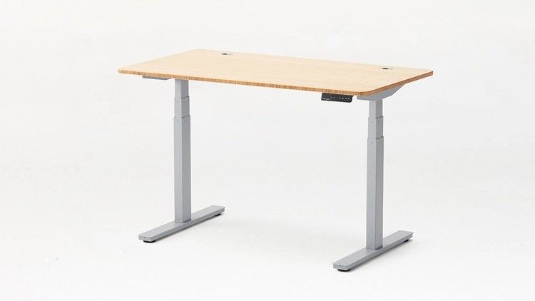 Autonomous SmartDesk2 Premium sit/stand desk