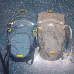 High Sierra Back Packs