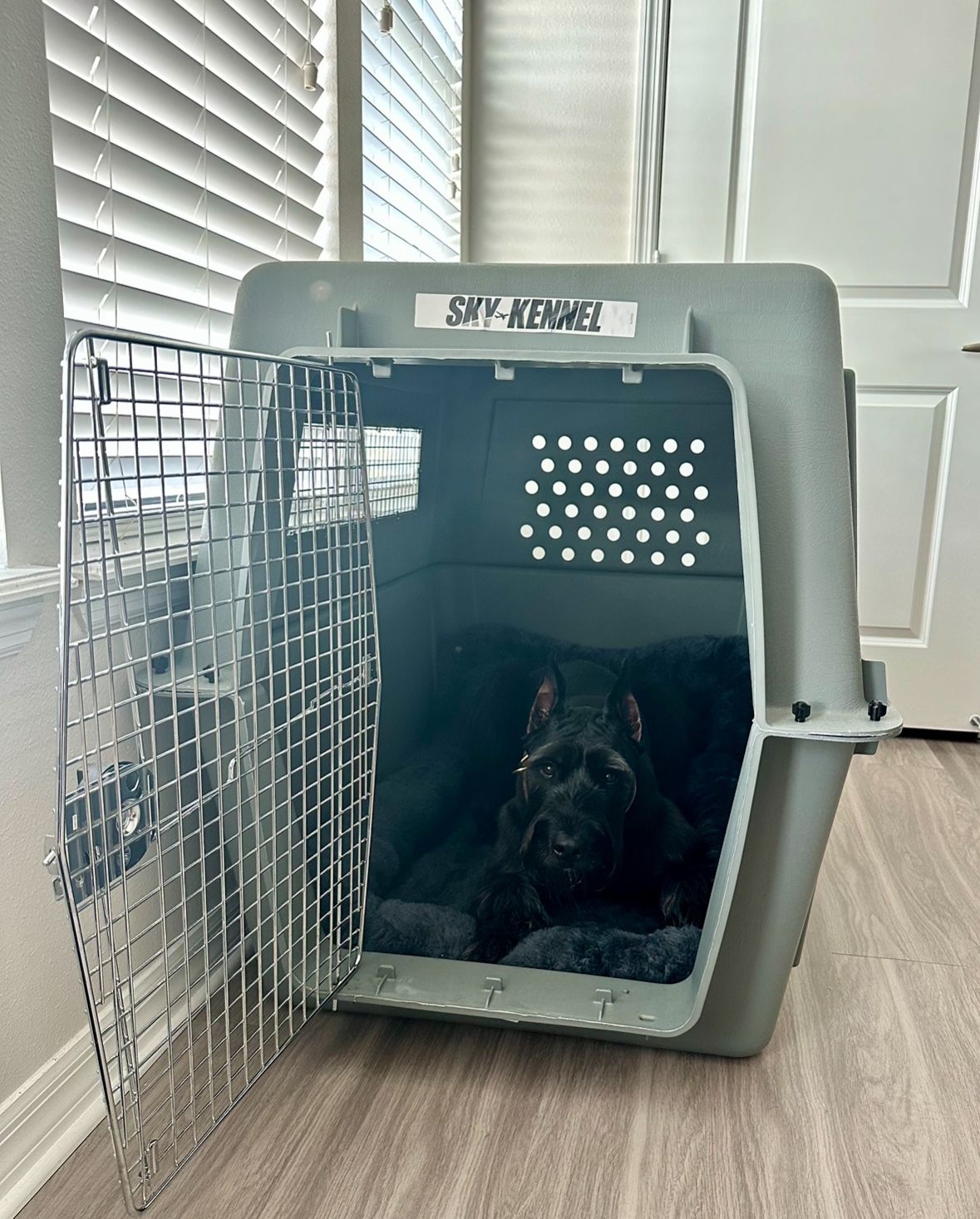 GIANT SkyKennel crate, BRAND NEW Dog Crate, Airline Approved 