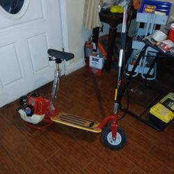 Scooters  Easy Rider