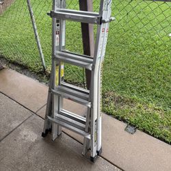 Limited Edition Gorilla Ladder