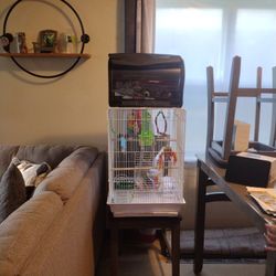 Bird Cage And Accessories 