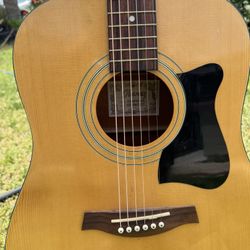 Guitar