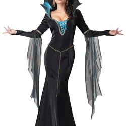 Evil sorceress Costume