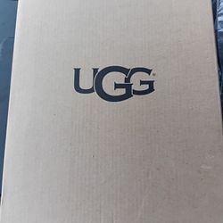 Women  UGGs 