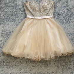 Gold - Champagne Dress (S)