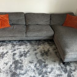 Sectional Couch + Rug