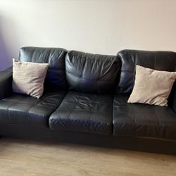 Black Leather Pullout Couch  