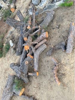 Free wood