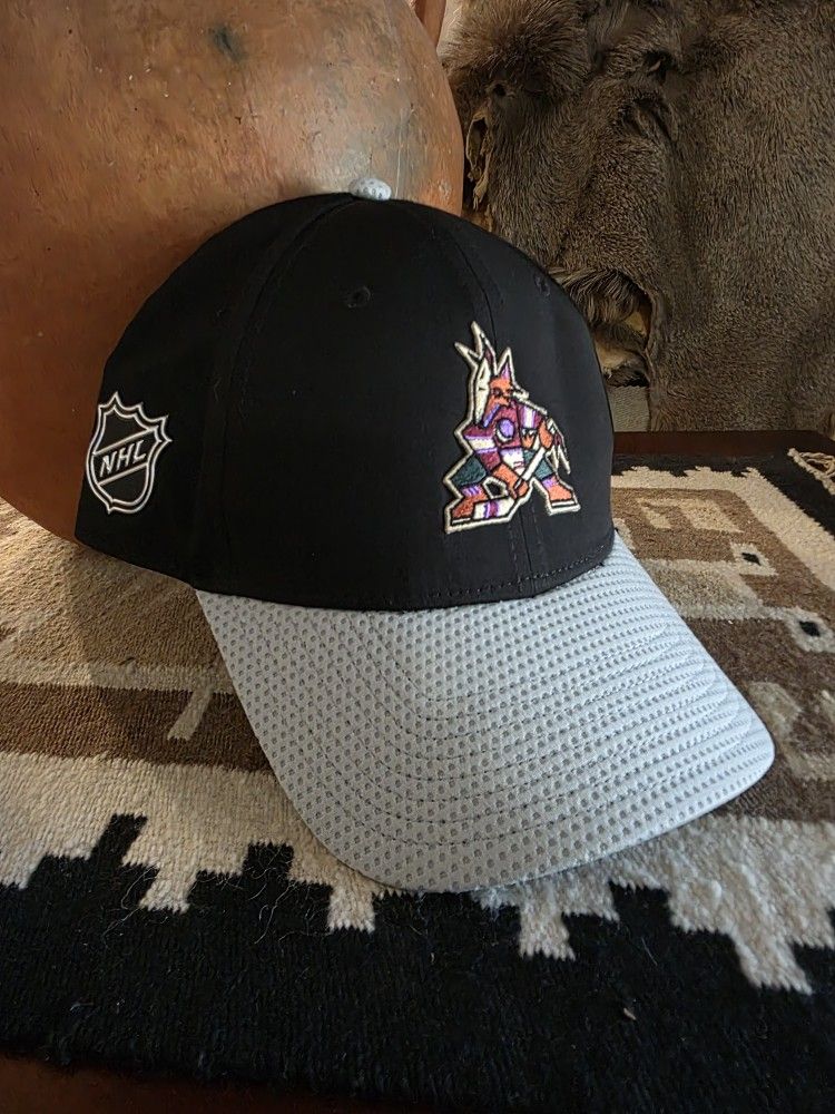 Arizona Coyotes Utah Mammoth Hockey Club 2023 Global Series Fanatics Hat NEW