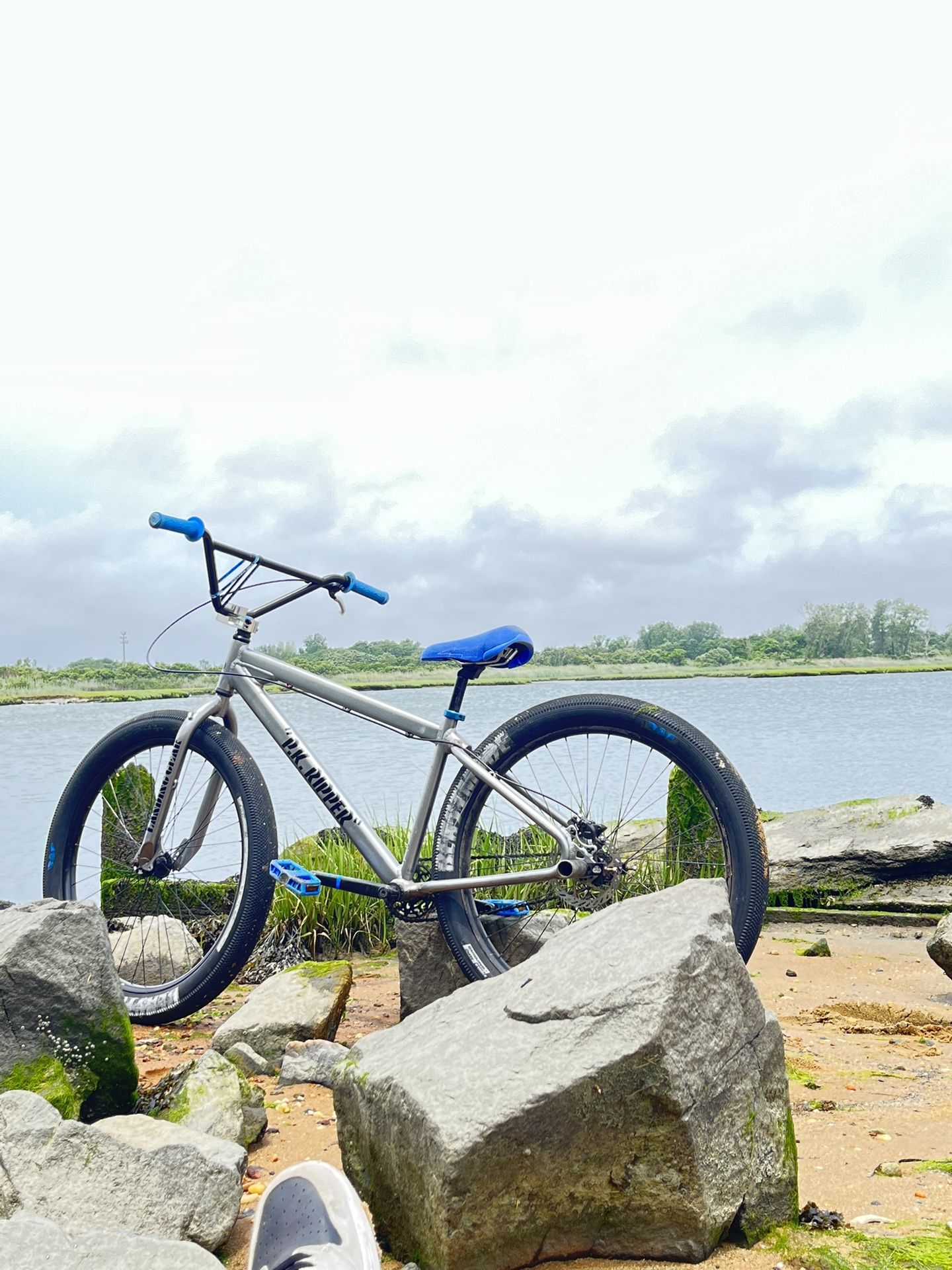 Beast Mode Se Bike