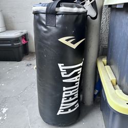 EverLast Punching Bag 