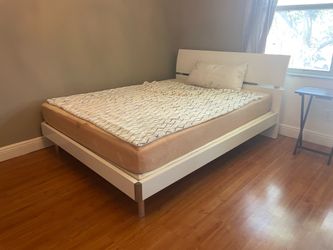 All Free 6 furniture pieces for the price of one