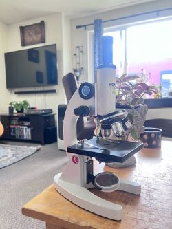Microscope - 600x