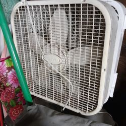 Fan 25 Each 25 Cada Uno