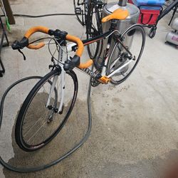 BIKE  250  DLRS.