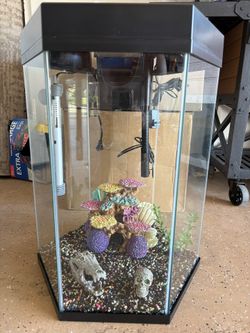 20 Gallon Fish Tank