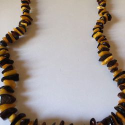 Baltic Amber teeth graduate small pieces light honey color to dark color necklace 22’