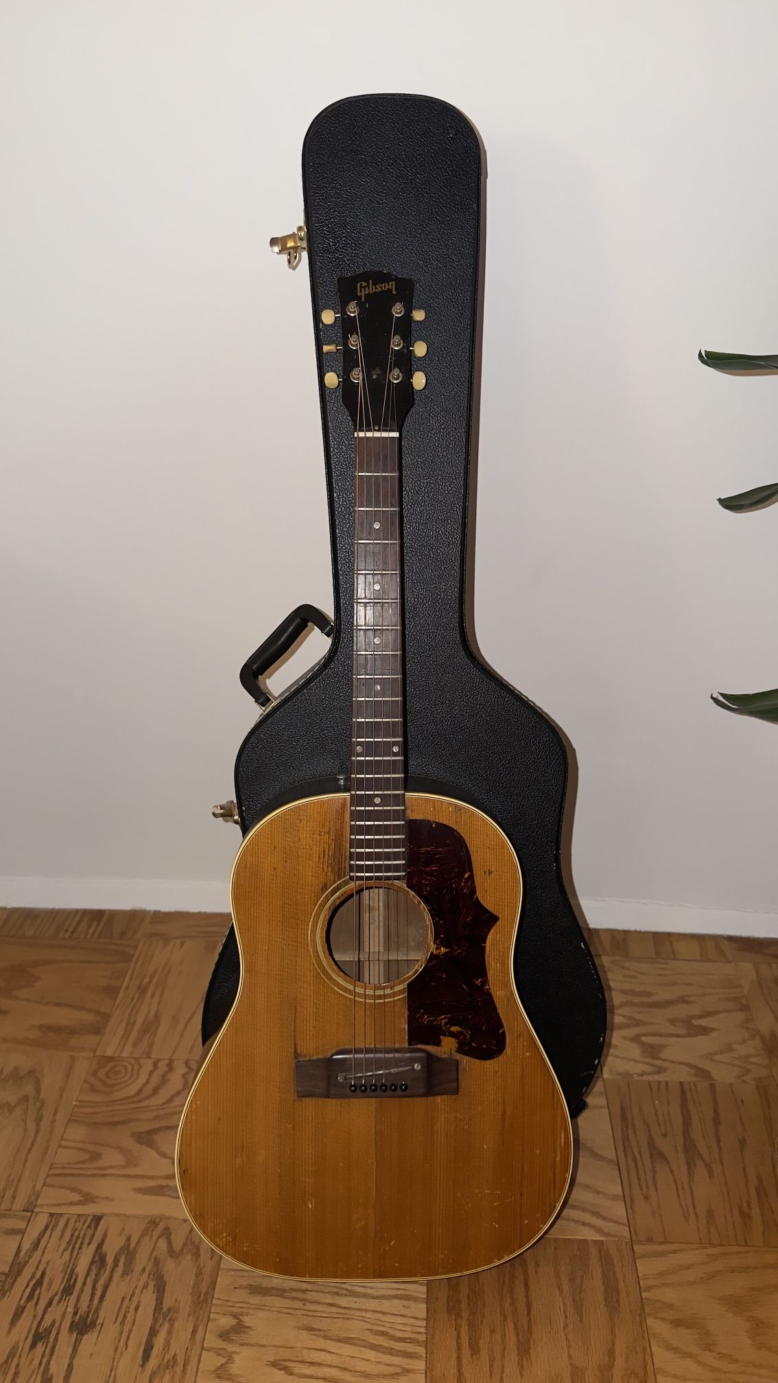 Vintage Gibson J-50 (1963-64)