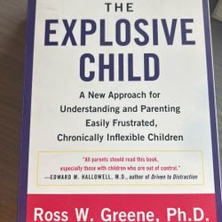 Explosive Child