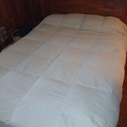 Queen Bed And Mattress 