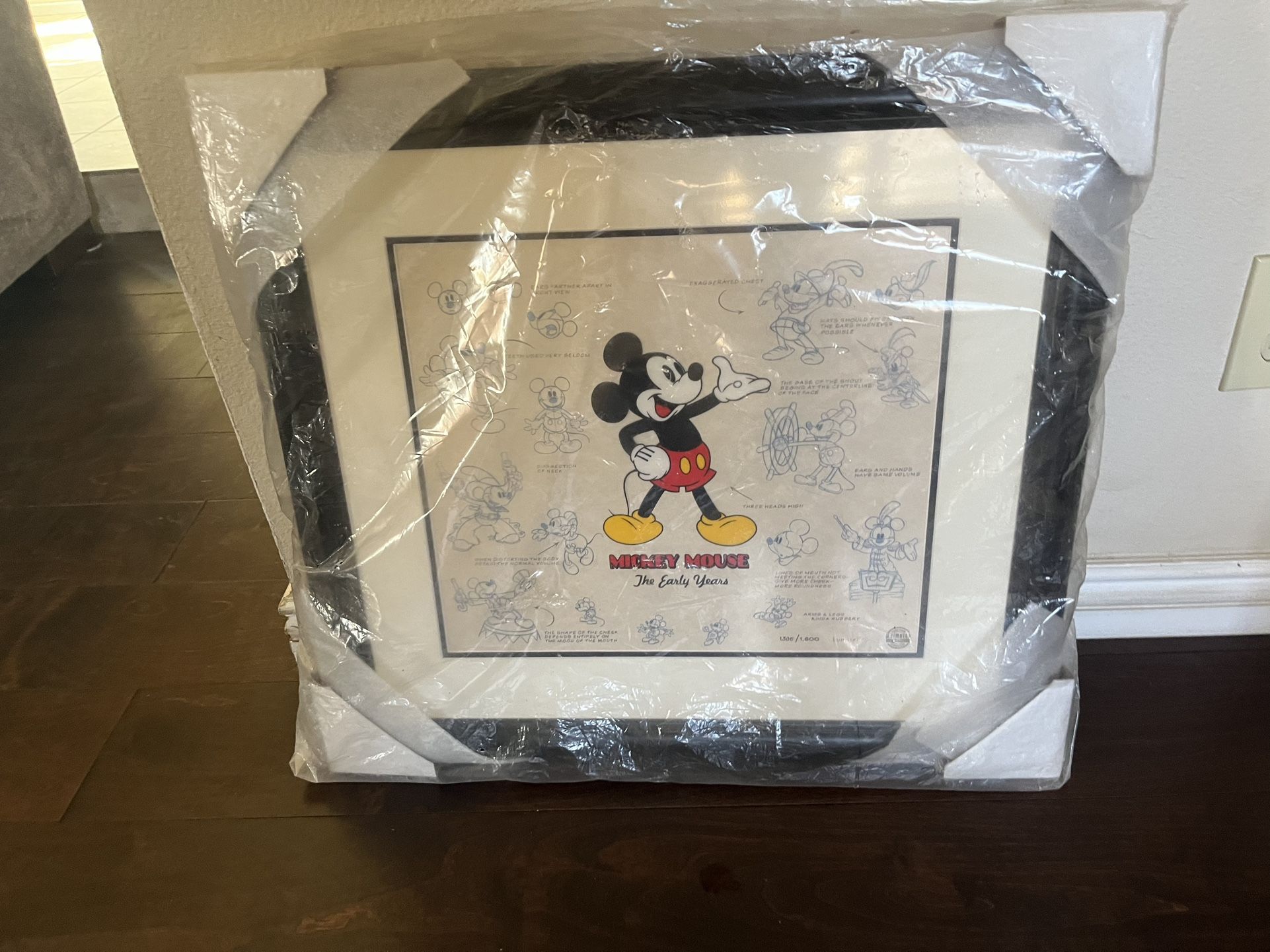 Collectible Disney Picture