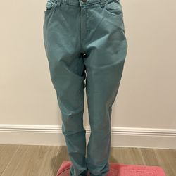 Loft Light Teal / Seafoam Green Curvy Skinny Jeans Size 28/6