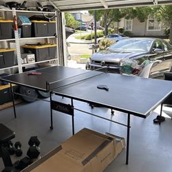 Ping pong table and paddles