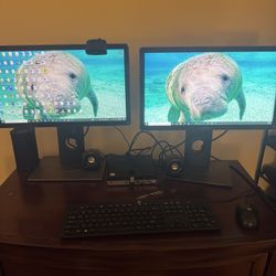 HP 800 G3 Mini Computer