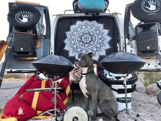 Handpans & Music lessons ft. Rare instruments! Professional quality Pantams/Hang drum/Handpan/steel pans for sale. Music lessons available all ages