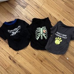 New Puppy Clothes