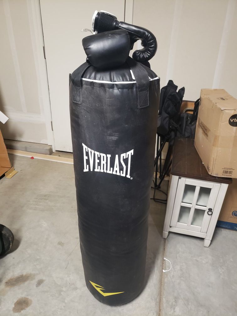 Everlast 100lb heavy bag and gloves