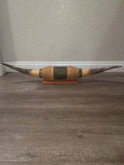 Mounted Longhorn Steer Horns on Wood Base